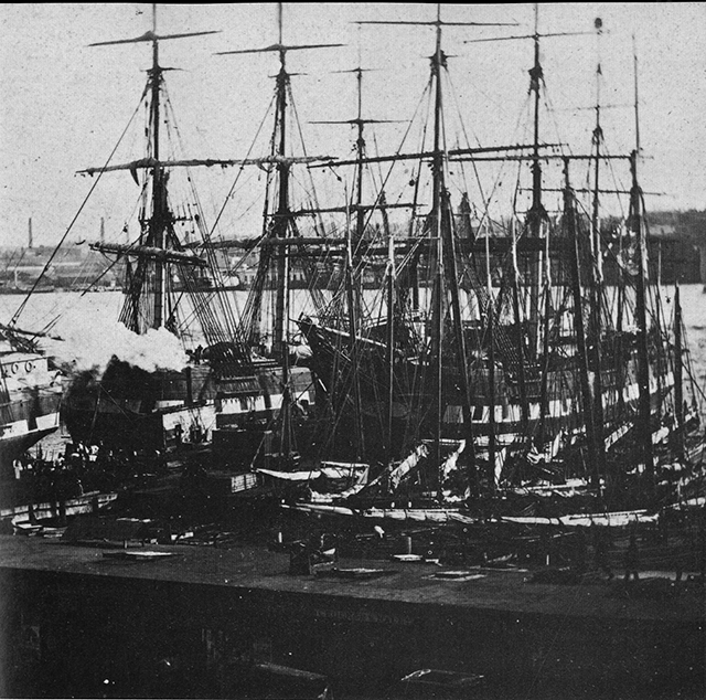 Black Ball packet ships in New York Harbor